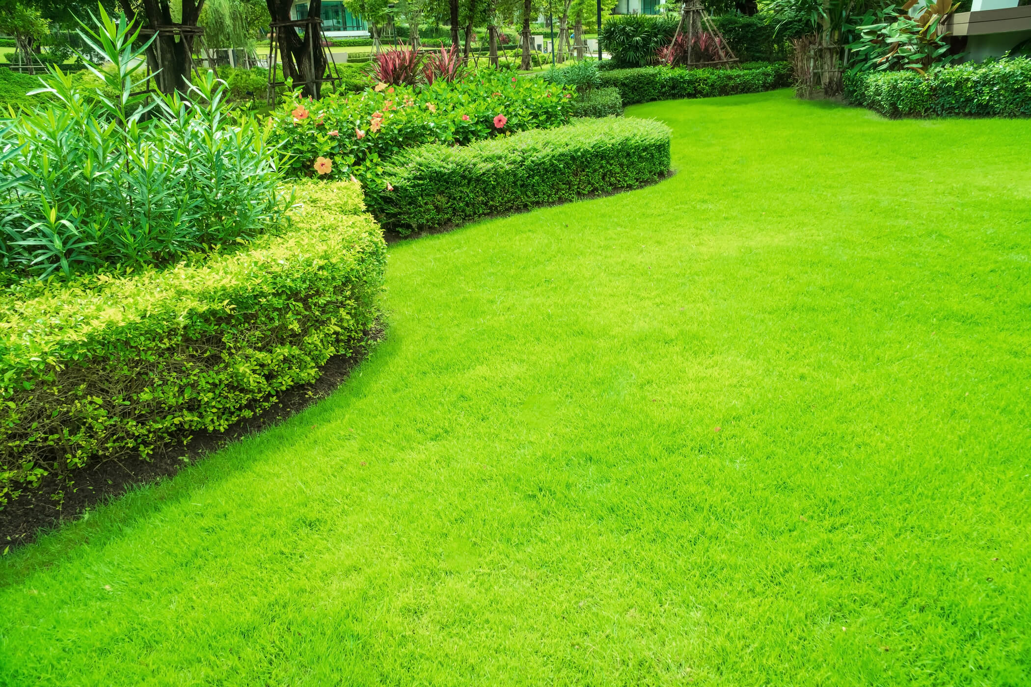 Top landscape management company