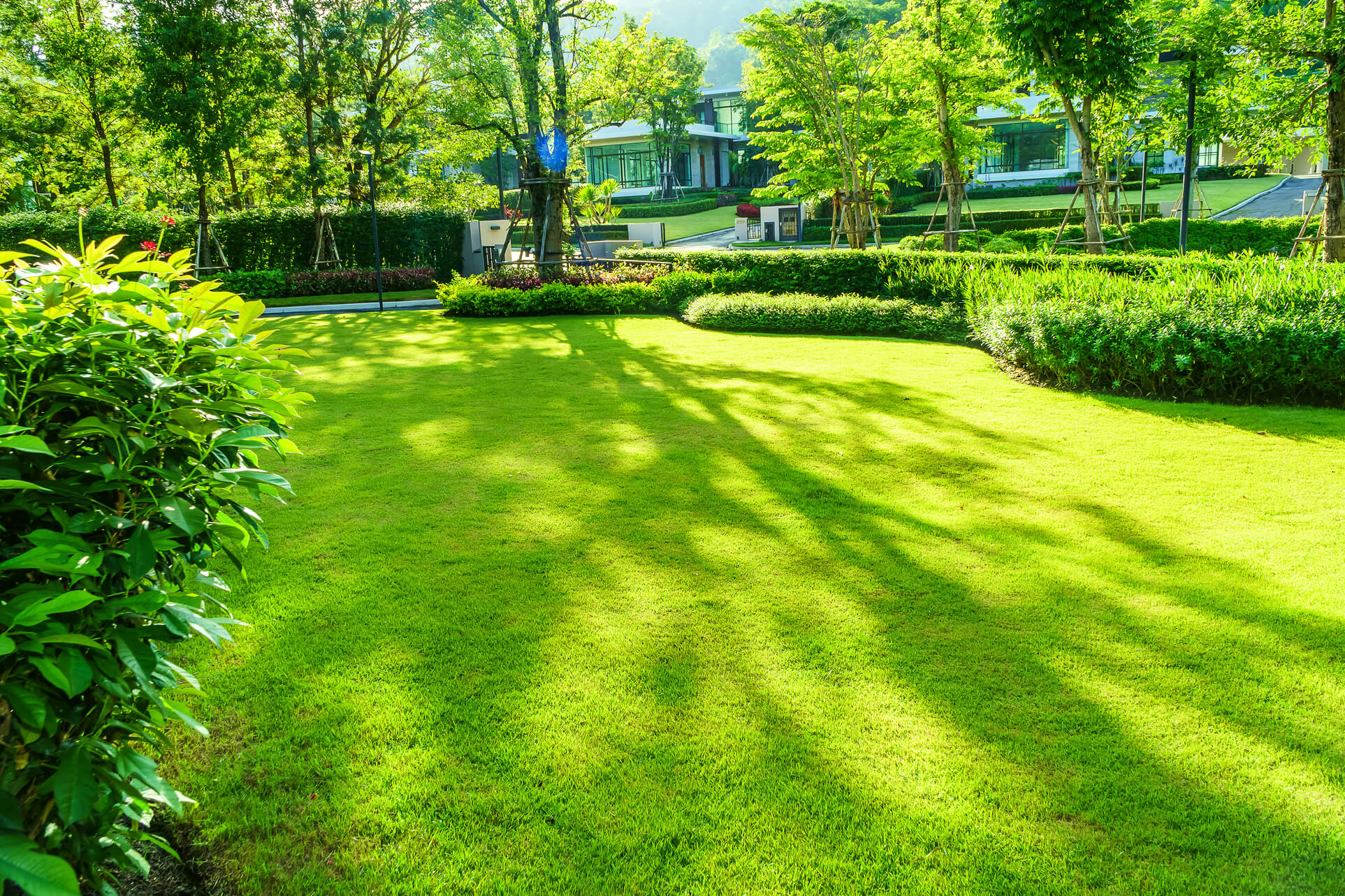 Top landscape management company